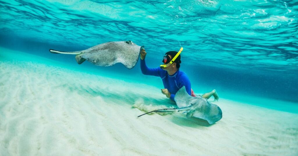 snorkeling cozumel