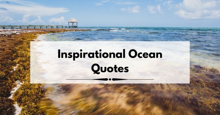 Inspirational Ocean Quotes