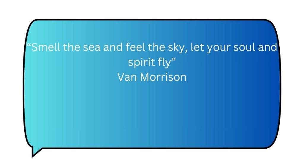 Van Morrison Quote