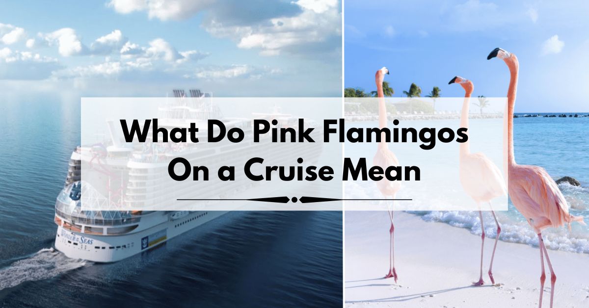 what do pink flamingos on a cruise mean