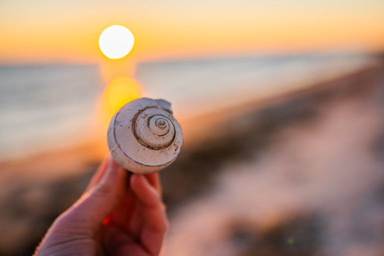 The Ultimate Guide of Holly Beach Tips for Visitors